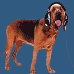 radio2hond